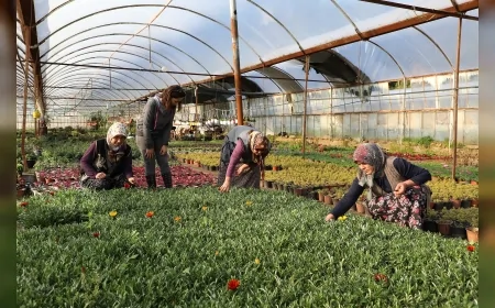 Muğla Büyükşehir Belediyesi Kadın Kooperatifleriyle Yerel Kalkınmayı Güçlendiriyor