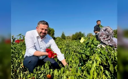 AK Parti Balıkesir İl Başkanı Mehmet Aydemir: “Zirai Don Desteğiyle 1.686 Üreticiye 44 Milyon 372 Bin TL Ödeme Yapılacak”