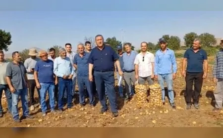 Ömer Fethi Gürer: “Meyvede Bir Yılda 10 Milyon Tonluk Kayıp Var, Bitkisel Üretimde Rekor Düşüş Yaşanıyor”