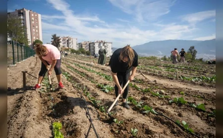 Bornova’da Kadınlar Kent Bostanlarında Üretime Katılıyor: “Kadın Emeğiyle Bornova Daha Bereketli Olacak”