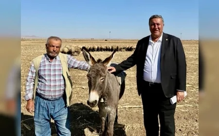 CHP’li Ömer Fethi Gürer: “10 Yılda 10 Milyon Büyükbaş Hayvan İthal Ettik Ama Sorunlar Bitmedi”