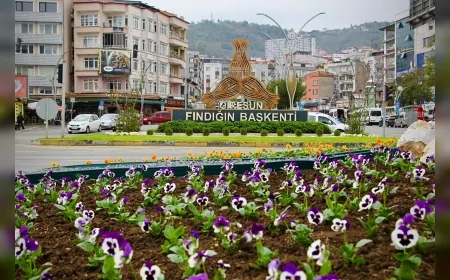 Giresun Belediyesi Kent Estetiğini Yeniliyor: Mevsimlik Çiçeklerle Şehir Renkleniyor