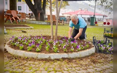 Giresun Belediyesi Şehrin Meydanlarını Mevsimlik Çiçeklerle Renklendirdi
