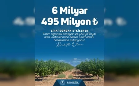 Tarım ve Orman Bakanı İbrahim Yumaklı: “Zirai dondan etkilenen üreticilerimize 6 milyar 495 milyon TL daha aktarıyoruz”