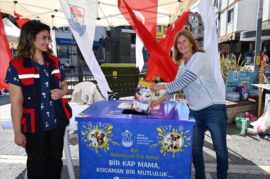 Yalova Belediyesi sokak hayvanları için "Askıda Mama" kampanyası başlattı