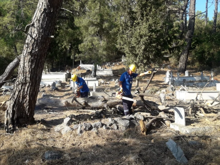 Muğla’da mezarlık temizliği sonrası çıkan odunlar ihtiyaç sahiplerine yakacak olarak dağıtılıyor