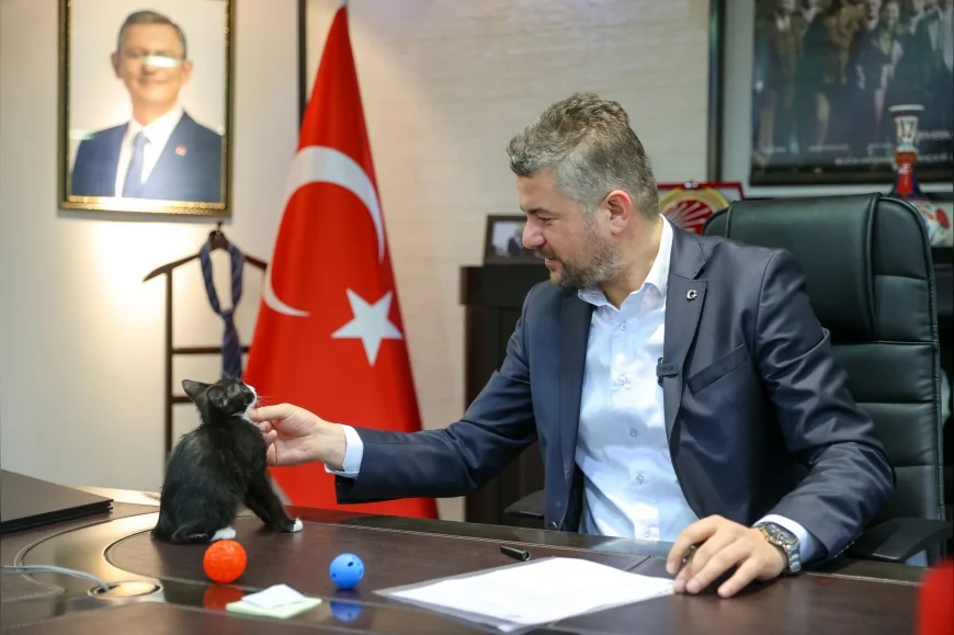 Buca Belediye Başkanı Görkem Duman: "Sokak hayvanlarını sahiplenelim" çağrısı yaptı
