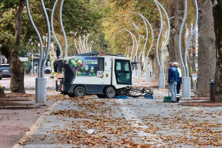 Yalova’da tarihi çınar ağaçlarında bilimsel bakım süreci: Gazipaşa Caddesi’nde budama çalışmaları sürüyor
