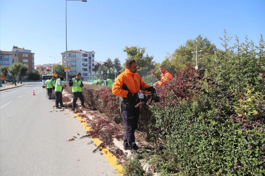 Eskişehir’de Sonbahar Bakımı Başladı: Parklarda Budama ve Bakım Çalışmaları Yoğunlaştı