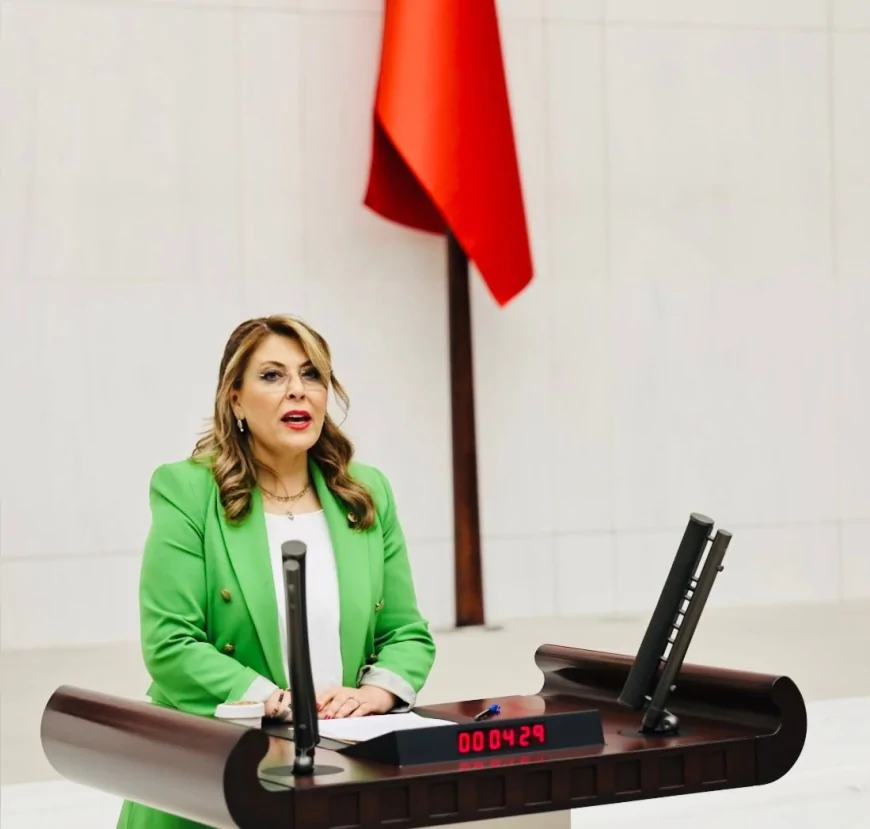 CHP’li Elvan Işık Gezmiş: “Halk sağlığı ciddi tehdit altındadır!”