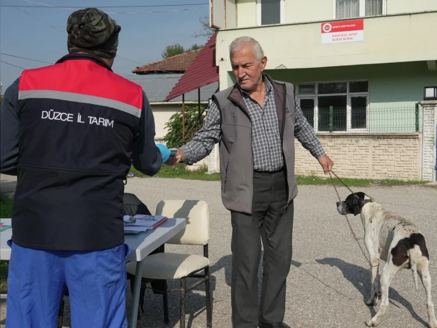 Düzce’de Sokak Hayvanlarına “Yerinde Sahiplendirme” Uygulamasıyla Yeni Bir Model: 175 Köpek Kırsalda Sahiplenildi