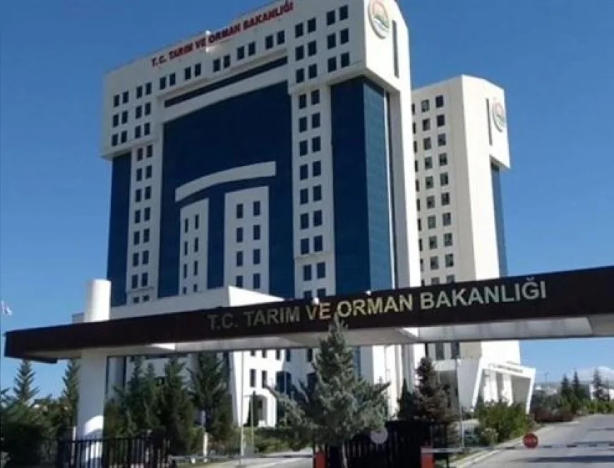 Milli Parklar Kanunu Teklifi Hakkında Bakanlıktan Açıklama: “Koruma Statüsü Değişmiyor, İddialar Gerçeği Yansıtmıyor”