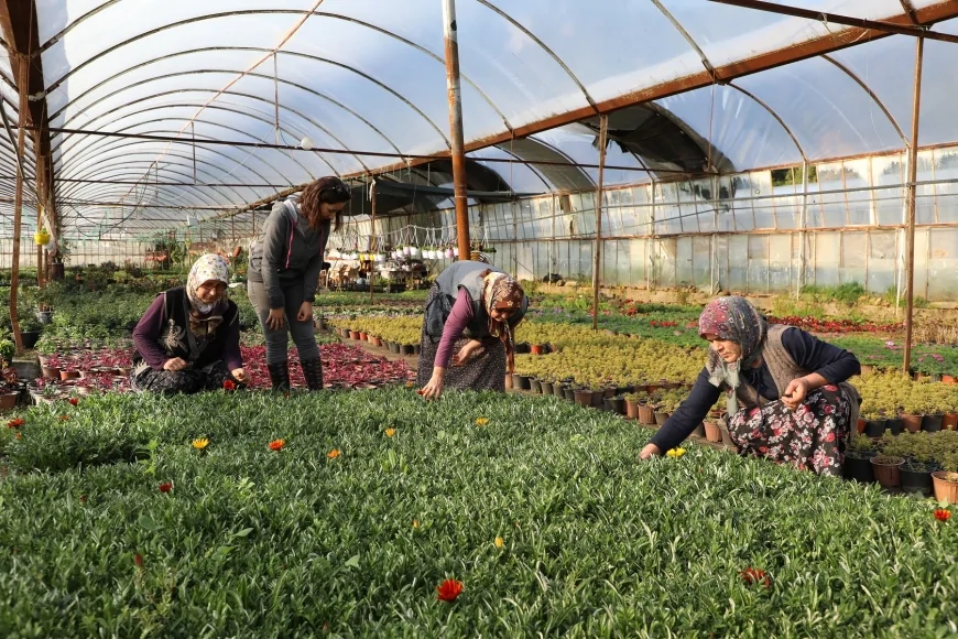 Muğla Büyükşehir Belediyesi Kadın Kooperatifleriyle Yerel Kalkınmayı Güçlendiriyor