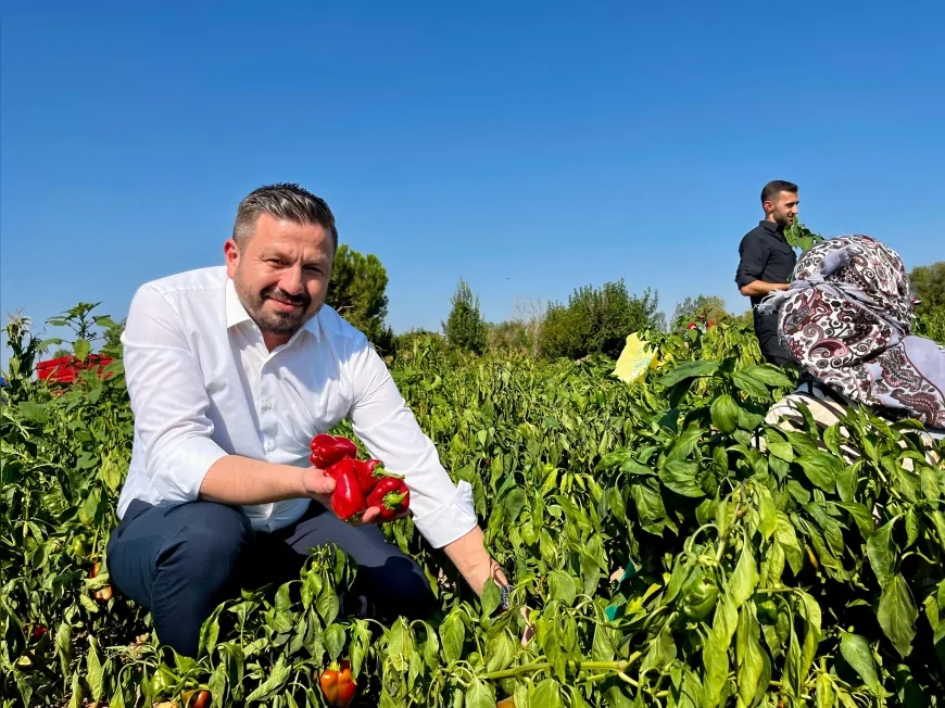 AK Parti Balıkesir İl Başkanı Mehmet Aydemir: “Zirai Don Desteğiyle 1.686 Üreticiye 44 Milyon 372 Bin TL Ödeme Yapılacak”