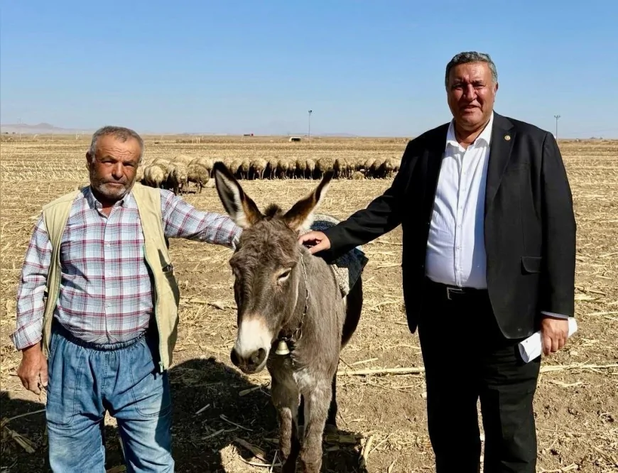 CHP’li Ömer Fethi Gürer: “10 Yılda 10 Milyon Büyükbaş Hayvan İthal Ettik Ama Sorunlar Bitmedi”