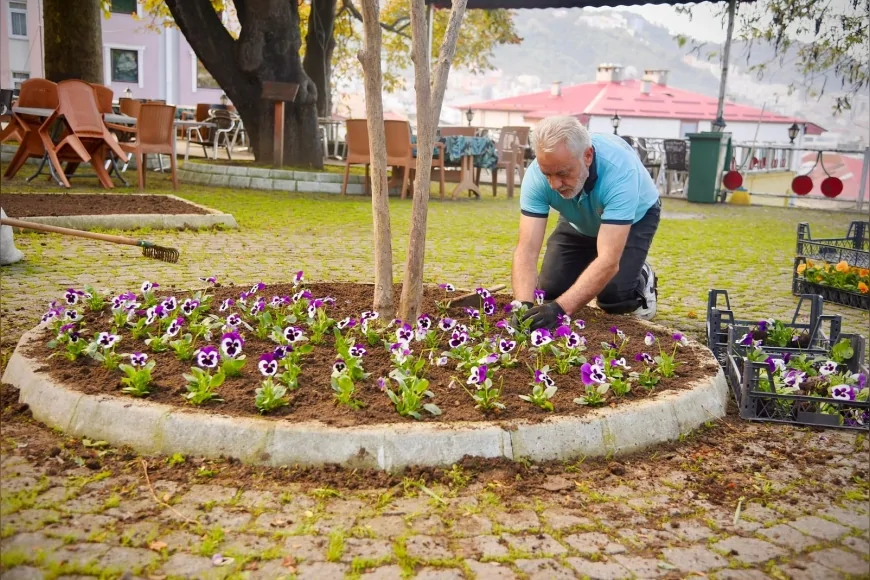 Giresun Belediyesi Şehrin Meydanlarını Mevsimlik Çiçeklerle Renklendirdi