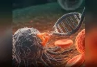 CRISPR Devrimi: Hastalıkların DNA’dan Onarılacağı Yeni Tıp Çağı Başlıyor