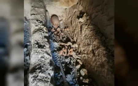 Gaziantep Nizip’te 2,5 Metrelik Dev İnsan İskeletleri Bulundu: “Göbeklitepe’den Daha Eski Olabilir”