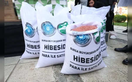 Bursa Büyükşehir Belediyesi’nden Çiftçiye Yerli Tohum Desteği: 44 Ton Buğday 400 Üreticiye Yüzde 100 Hibeyle Dağıtıldı