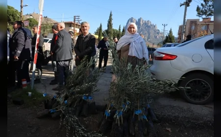 Eskişehir Büyükşehir Belediyesi’nden Üreticilere Zeytin Fidanı Desteği