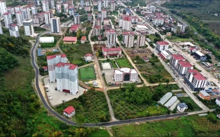 Ordu Büyükşehir Belediyesi Ayazlı Mahallesi Mandıra Caddesi’ni Asfaltladı: Okul ve Dolmuş Güzergahı Yenilendi