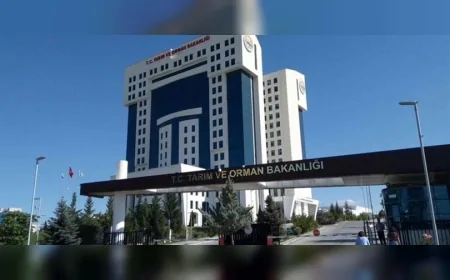 Tarım ve Orman Bakanlığı: “Şap Hastalığıyla Mücadele Kontrollü ve Bilimsel Temelde Sürdürülüyor”