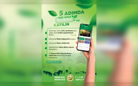 Giresun Orman Bölge Müdürlüğü’nden Yeşil Vatan Seferberliği’ne Destek: Herkese Ücretsiz Fidan