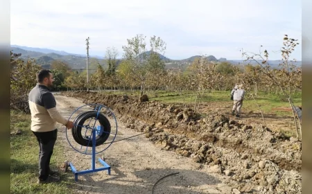 Ordu Büyükşehir Belediyesi FINVER Projesi Kapsamında Fındık Bahçelerine Damlama Sulama Sistemi Kuruyor
