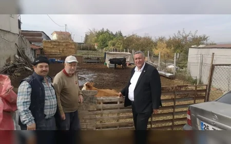 CHP Niğde Milletvekili Ömer Fethi Gürer: “Çiftçi zarar ediyor, besici zarar ediyor, üretici zarar ediyor”