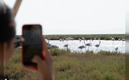 İzmir Büyükşehir Belediyesi İZDENİZ’den Yeni Kent Turları: Doğa, Tarih ve Lezzet Bir Arada