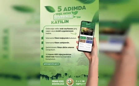 Giresun Orman Bölge Müdürü Ahmet Ulukan: “Beş Adımda Bir Fidan Sahiplenin, Biz Sizin Adınıza Toprakla Buluşturalım”