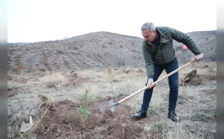 Sivas Belediyesi’nden Anlamlı Proje: 58 Bin Fidan Muhsin Yazıcıoğlu Vefa Ormanı’nda Toprakla Buluştu
