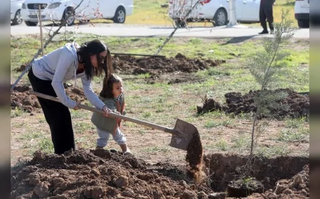 Yenimahalle Belediyesi 11 Kasım Milli Ağaçlandırma Günü’nde Cumhuriyet Mahallesi’nde Yeni Fidanları Toprakla Buluşturdu