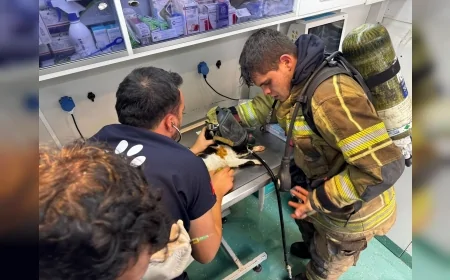 İzmir’de Mazgala Düşen Kayıp Köpek ve Yangında Mahsur Kalan Kediler İtfaiye Tarafından Kurtarıldı
