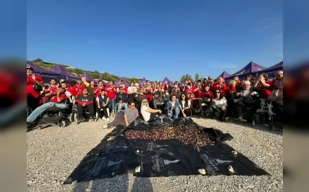 İzmir Büyükşehir Belediyesi Engelli Çalışmaları Şube Müdürlüğü Engelli Yurttaşlarla Belenbaşı’nda Zeytin Hasadında Buluştu