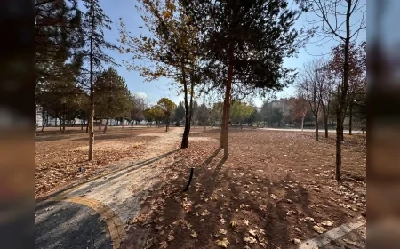 Pursaklar Belediyesi İlçe Parklarını Baştan Sona Yeniliyor: “Kuytu Köşe, Karanlık Nokta Kalmayacak”