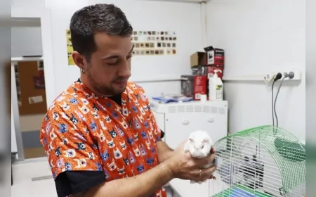 Yalova Belediyesi Rehabilitasyon Merkezine Bırakılan Ginepig İçin Sahiplenme Çağrısı Yapıldı