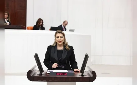 Cumhuriyet Halk Partisi Giresun Milletvekili Elvan Işık Gezmiş: “Aile Yılı ilan edilen bu dönemde bütçe yoksulluğu ve eşitsizliği azaltmıyor”