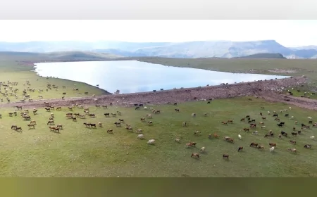 Erzurum Büyükşehir Belediye Başkanı Mehmet Sekmen: “11 Yılda 800’ün Üzerinde Gölet Yaptık, Hayvan Varlığı Artıyor”