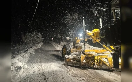 Ordu Büyükşehir Belediyesi İlk Kar Yağışıyla Birlikte Mesudiye ve Kabadüz’de Yoğun Mücadele Çalışmalarını Başlattı