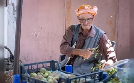 İzmir Büyükşehir Belediyesi Beydağ’da 212 Üreticiye 1034 Kerevet Dağıtarak İncirin Katma Değerini Artıran Destek Programını Başlattı