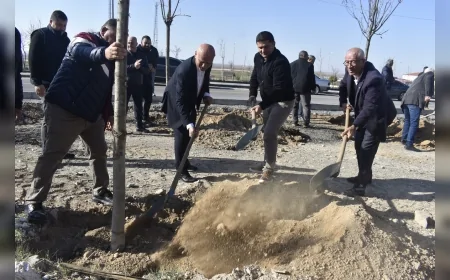 Şereflikoçhisar’da Vatandaşların Katılımıyla Diş Budak Ağaçları Dikildi ve Geleneksel Ağaçlandırma Programı Başlatıldı