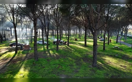 Altınova’da Yeni Mesire Alanı Açıldı: Çam Ağaçları Arasında 150 Kişilik Sosyal Yaşam Noktası Kullanıma Sunuldu