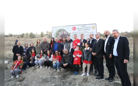 Mamak Yukarı İmrahor Ağaçlandırma Sahası’nda Şehit Bayram Eren Arslan İçin Dikilen Yüzlerce Fidanla Hatıra Ormanı Oluşturuldu