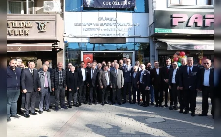 Bursa Büyükşehir Belediyesi Gürsu’da 1603 Aile İşletmesine Yem ve Aşı Desteğini Başlattı