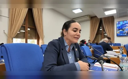 İYİ Partili Türkeş: “PKK kendini feshetmedi, sadece yılan kabuk değiştirdi; terörsüz Türkiye başarısı kişilere değil Türk ordusuna ve millete aittir”