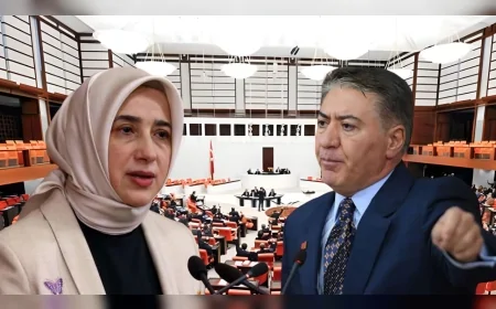 TBMM’DE HSK GERİLİMİ: MURAT EMİR “PARTİ DEVLETİ” ELEŞTİRİSİ YAPTI, ÖZLEM ZENGİN “HUKUKİ HAK VE VİCDAN” SAVUNUSUYLA KARŞILIK VERDİ