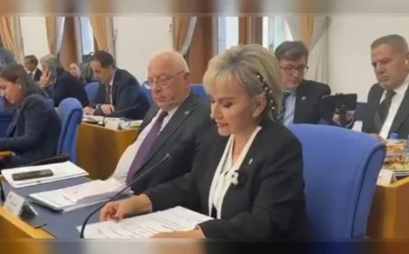 CHP’Lİ NİMET ÖZDEMİR: “KIBRIS ARTIK SADECE BİR ADA MESELESİ DEĞİL; ABD VE AB’NİN DOĞU AKDENİZ STRATEJİSİ TÜRKİYE’Yİ DIŞLAMAYI HEDEFLİYOR”