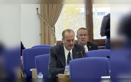 MHP’Lİ TAMER OSMANAĞAOĞLU: “TÜRK HARİCİYESİ BEŞ YÜZ YILLIK DEVLET AKLIYLA KRİZLERİ ÖNLÜYOR, MAZLUMLARIN SESİ OLUYOR”