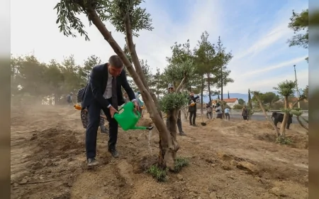 Burdur Belediye Başkanı Ali Orkun Ercengiz 80 Zeytin Ağacını Toprakla Buluşturulan Ağaçlandırma Sahasına Ferdi Zeyrek’in Adının Verildiğini Açıkladı